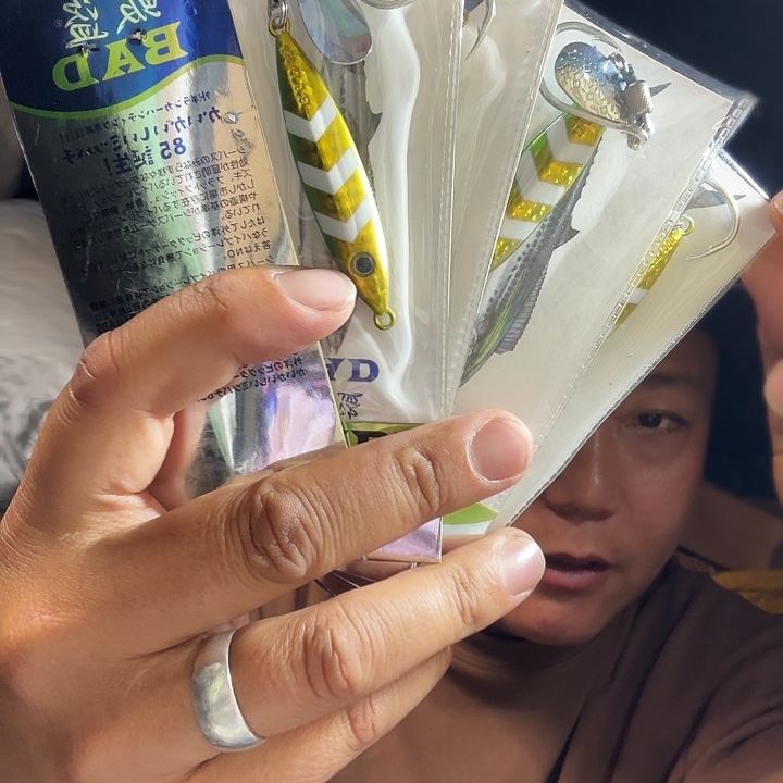 10个鲅盗铁板bad01二十克颜色随机