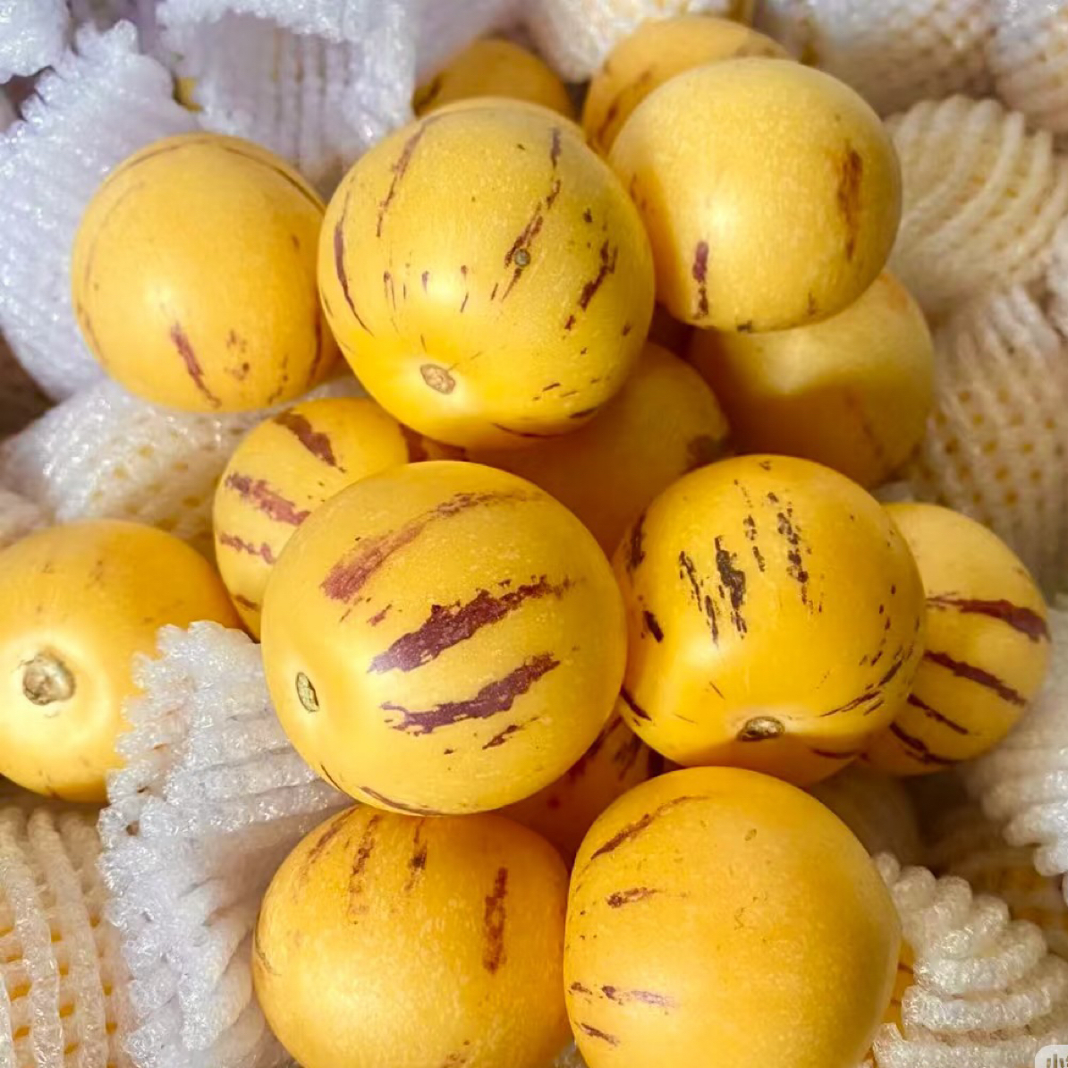 云南石林人参果1kg多汁又甜配送到家