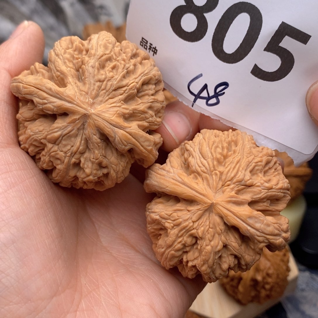 文玩核桃吊坠805号48粗筋