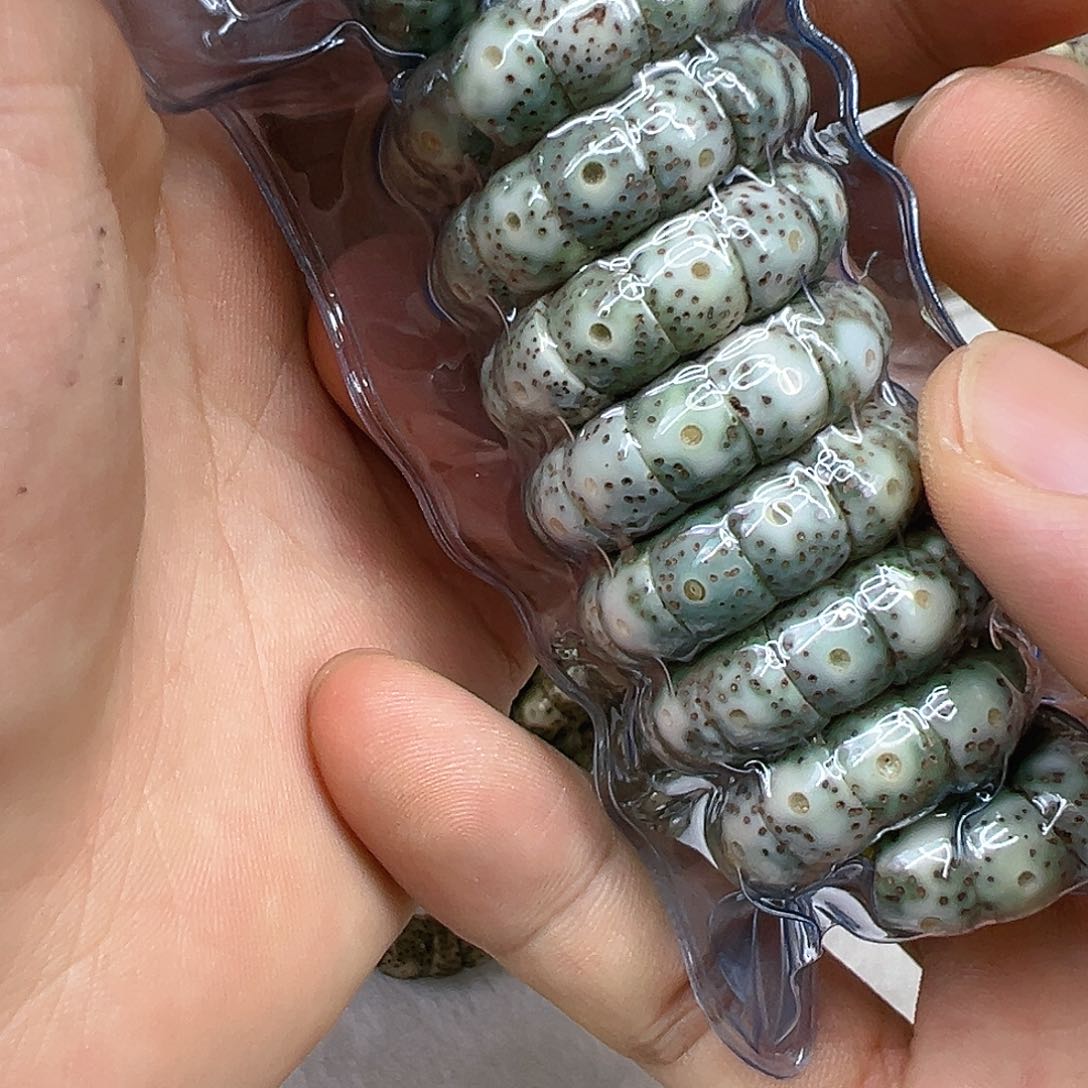 星月菩提手串36荣耀糯冰石玉星月菩提大肠108-9
