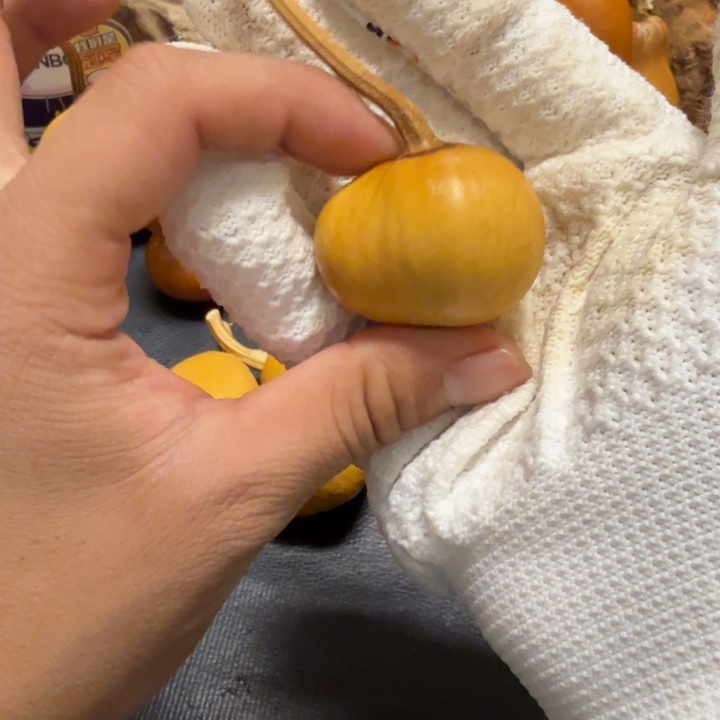 ༄***s66……………………………………