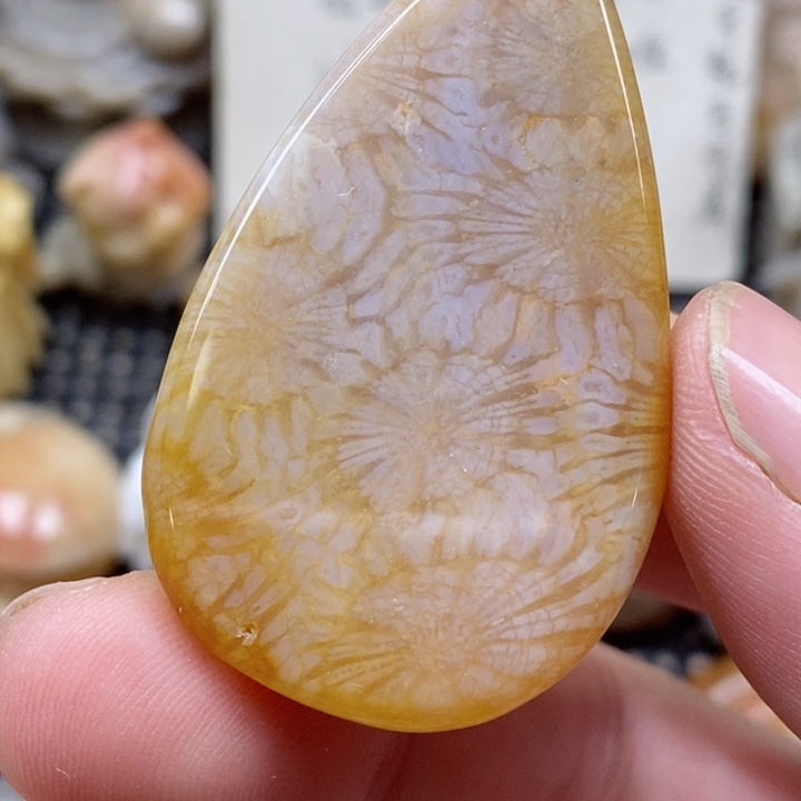 颈饰未镶嵌硅化珊瑚（珊瑚玉）