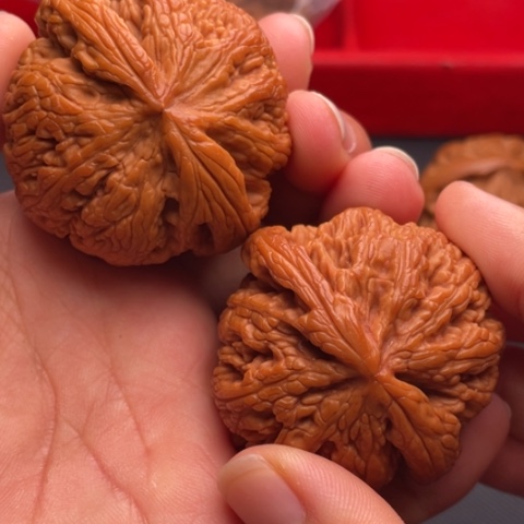 文玩核桃把件秦岭山脉核桃