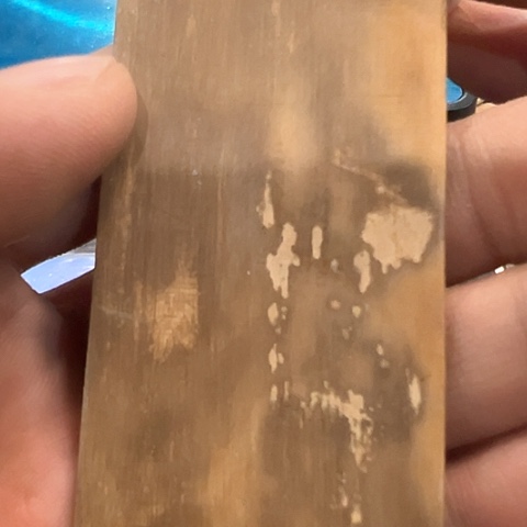 天然猛犸象牙瑕疵品