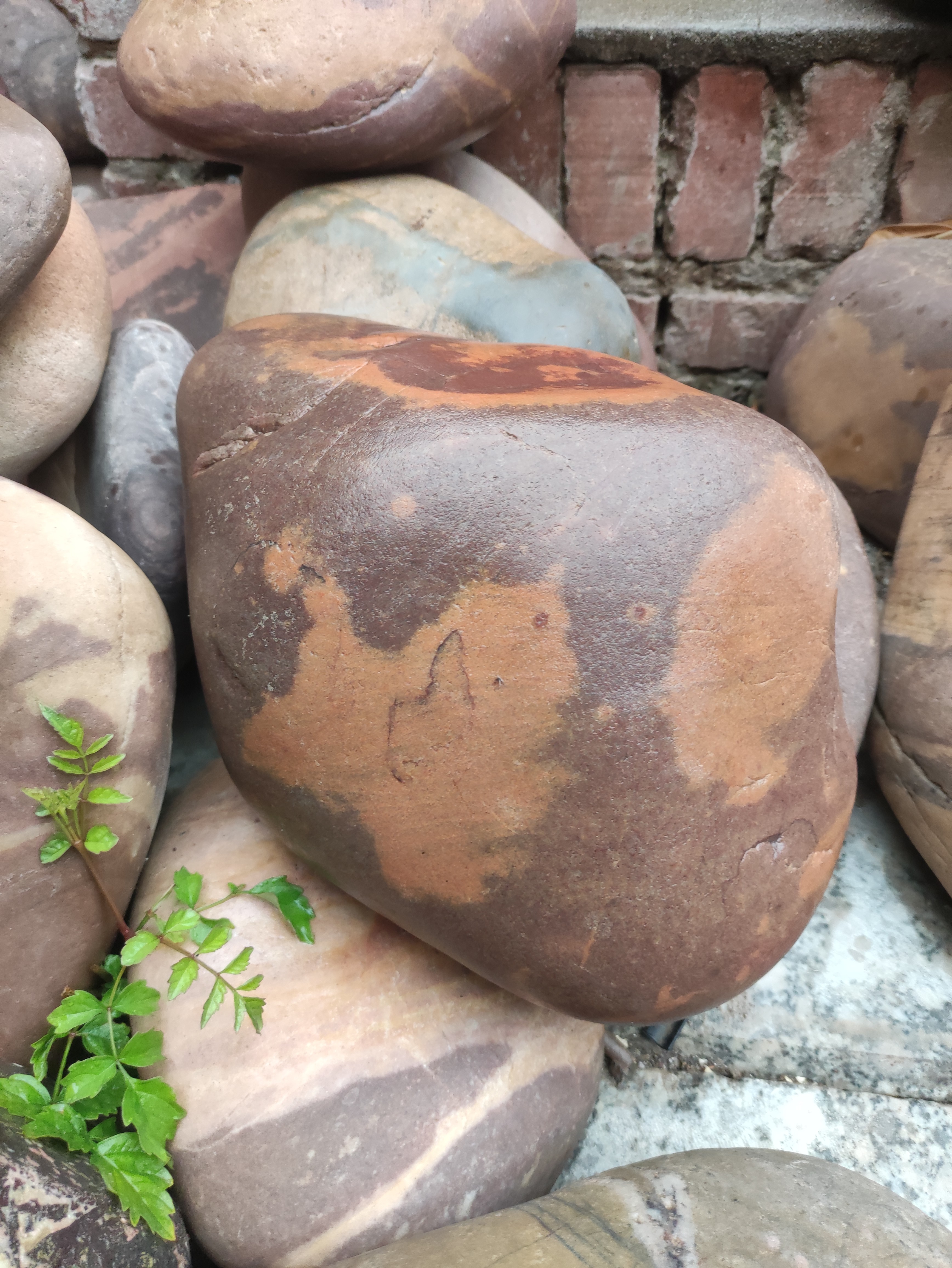 中国黄河奇石，画面石，象形石，造形石。