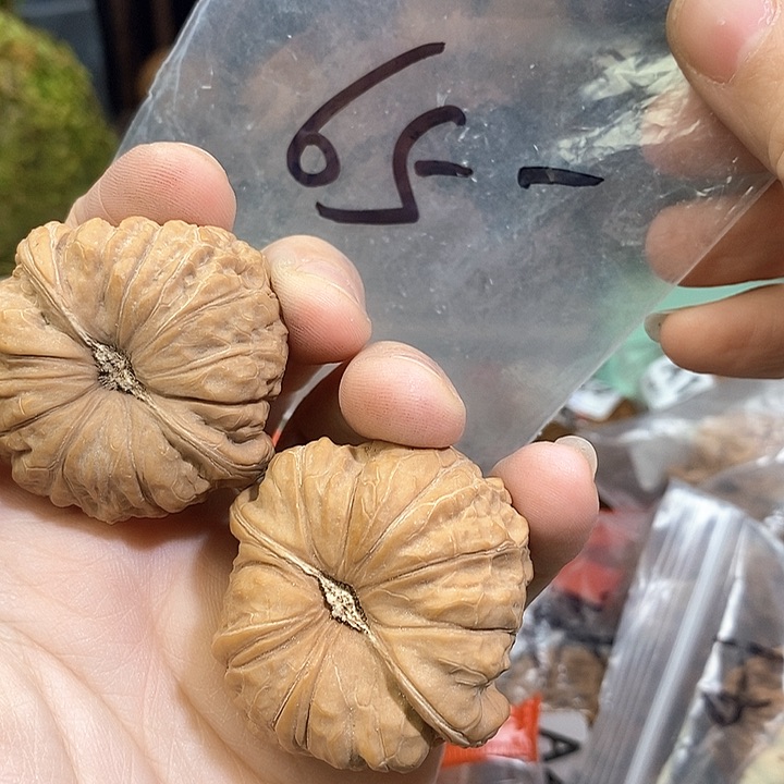 桃核把件南瓜核桃
