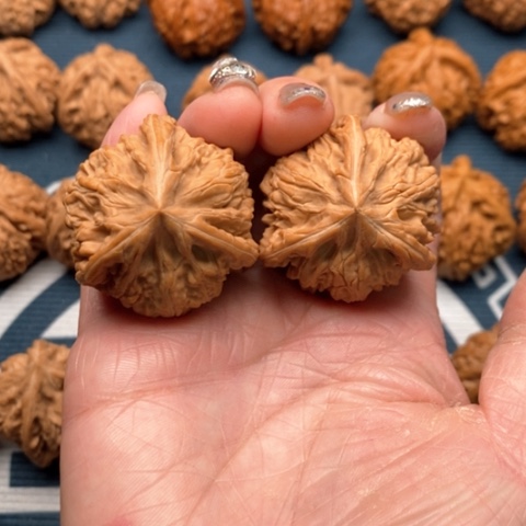 橄榄核手串/手链文山三棱御龙粗筋38全品