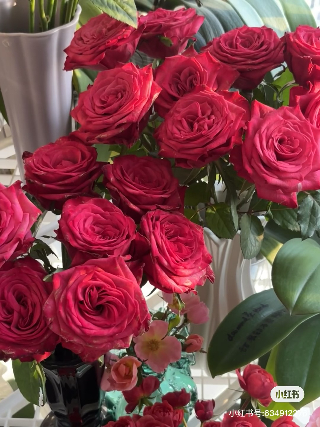 【俏夕阳】樱桃巷 拍下三单及以上顺丰空运包邮10支装%20不售后