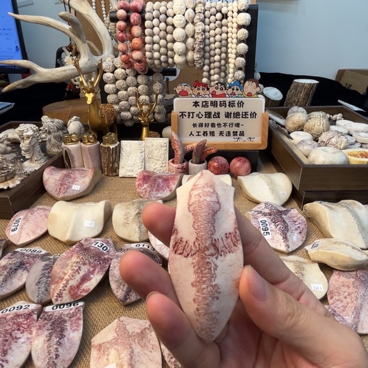 养殖梅花鹿四界牌