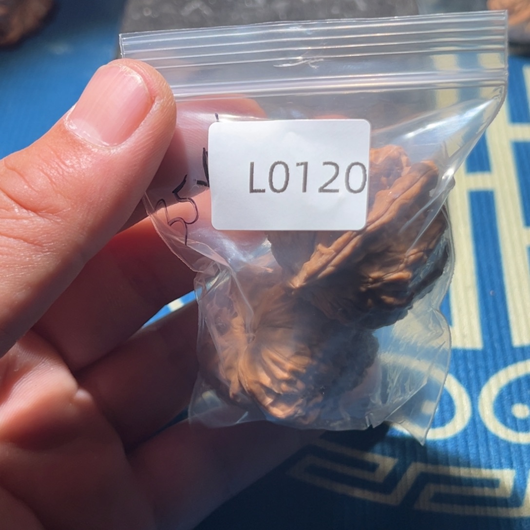 文玩核桃吊坠懒****7白狮子