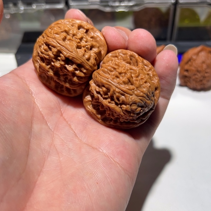 白师子说过了今天上午