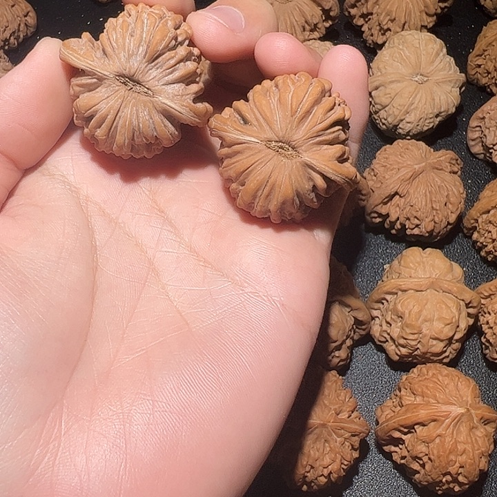 悟***&39尺全品四座楼包邮