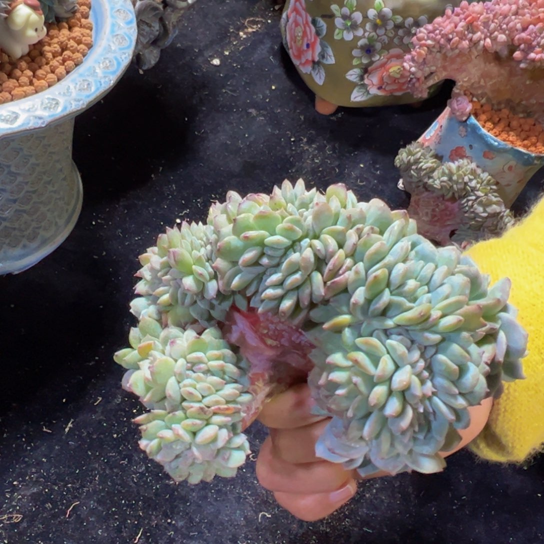 天天开心 天天开心