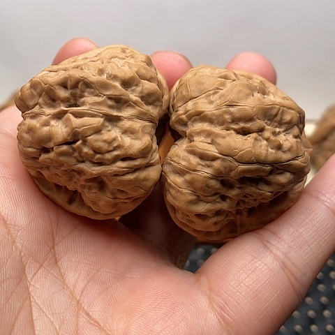 文玩核桃把件天*啊边40全品