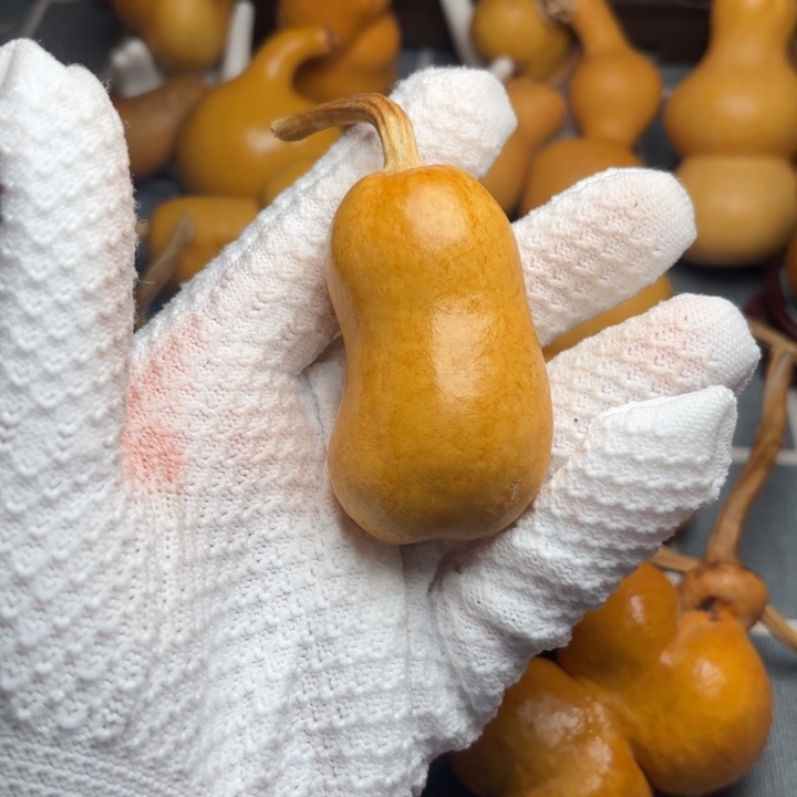 一***布葫芦6666666666666