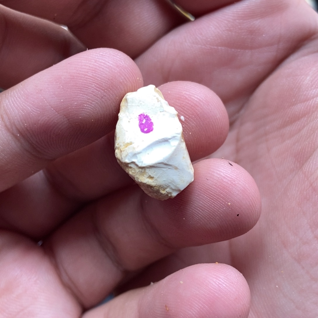 定制琥珀未镶嵌定制