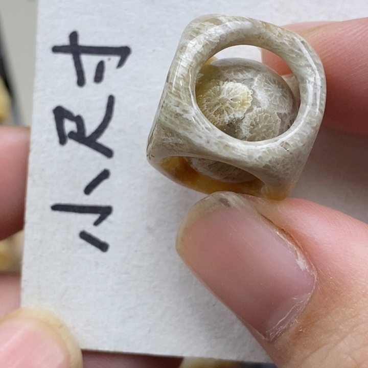 硅化珊瑚（珊瑚玉）未镶嵌颈饰