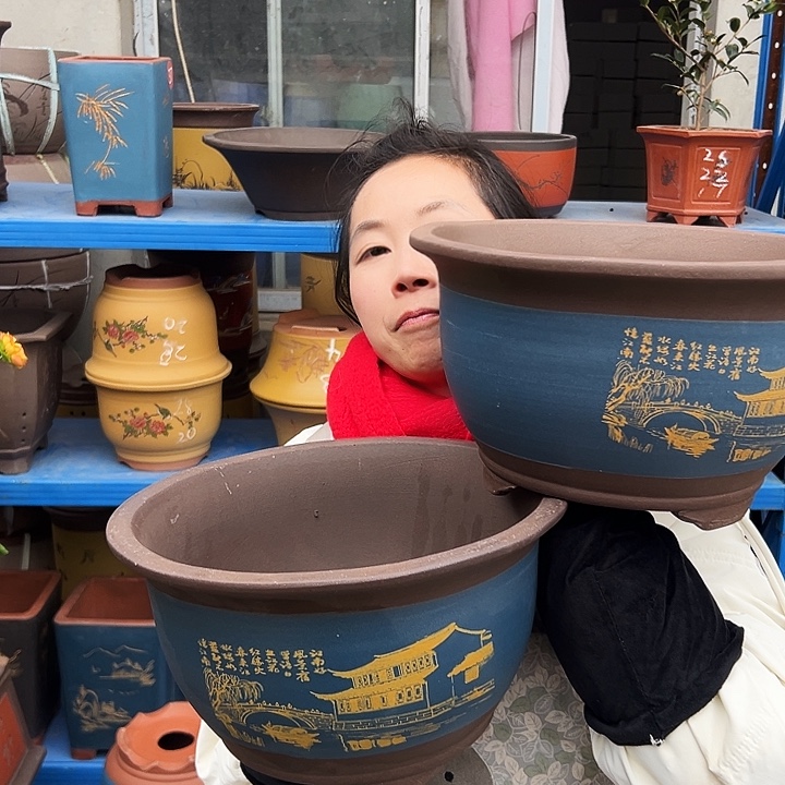 25+25蓝江南水乡三角金钟花盆