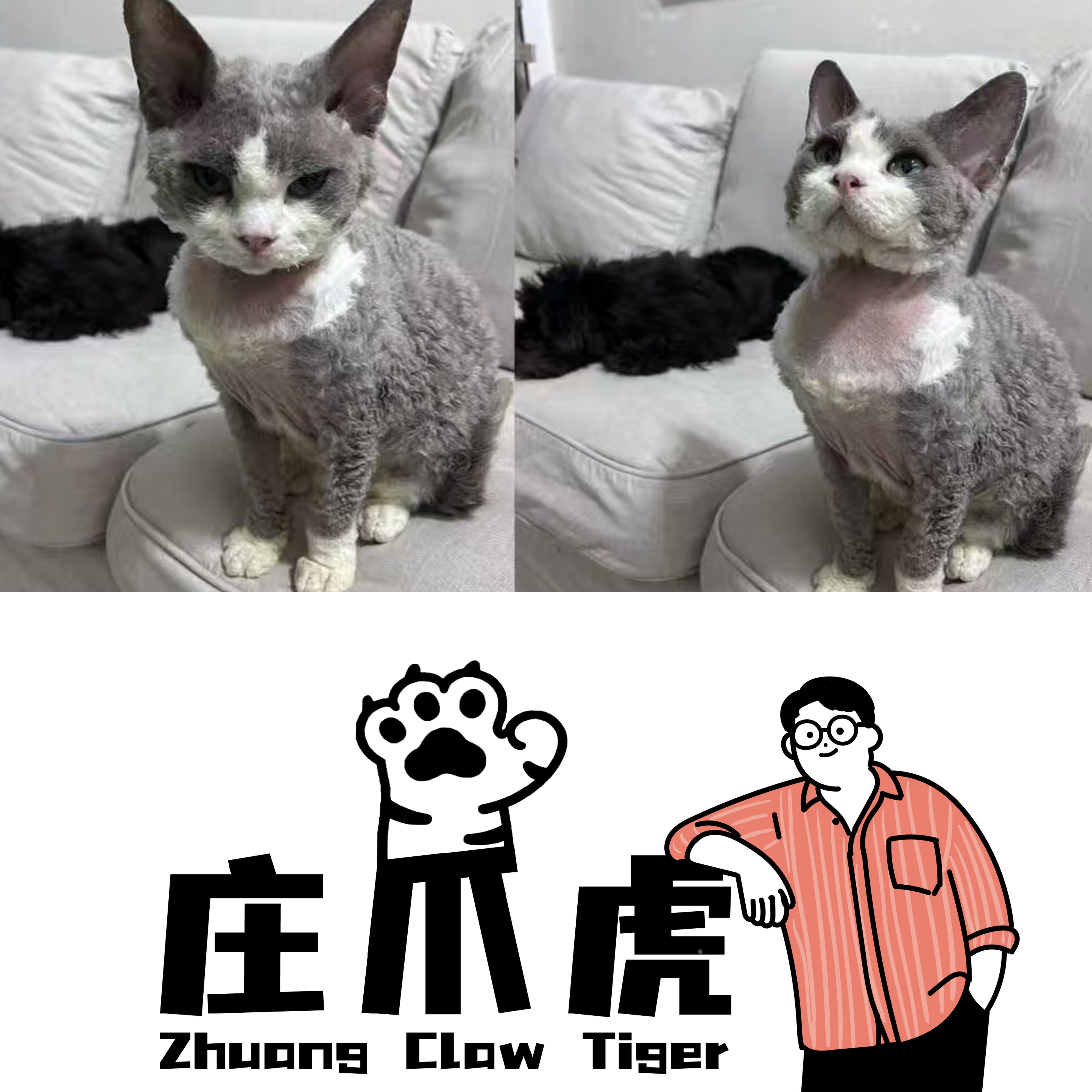 庄爪虎超级粉丝福利猫咪狗狗汤包冻干零食②号