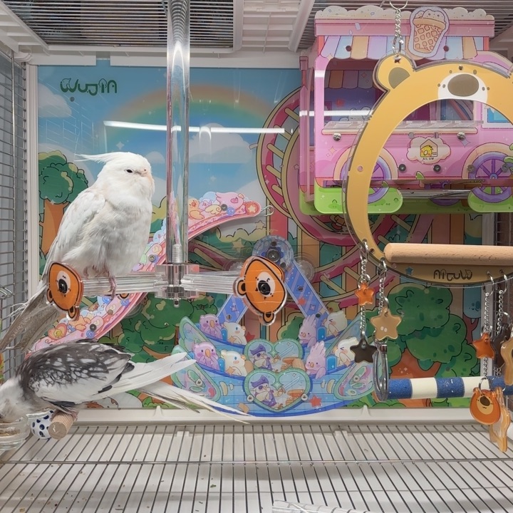 小熊系列呼呼风车