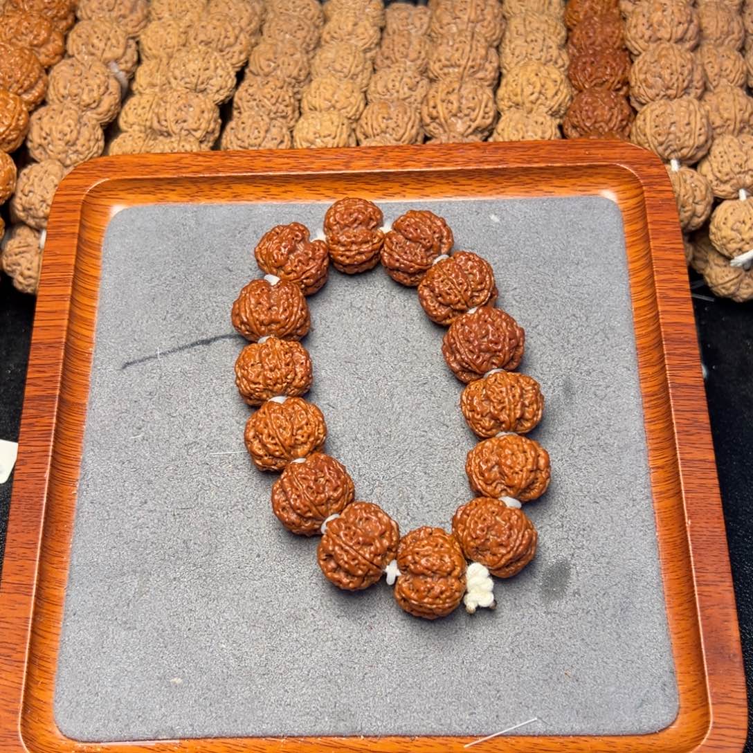 菩提6号尼泊尔大金刚22粗筋梅花五龙