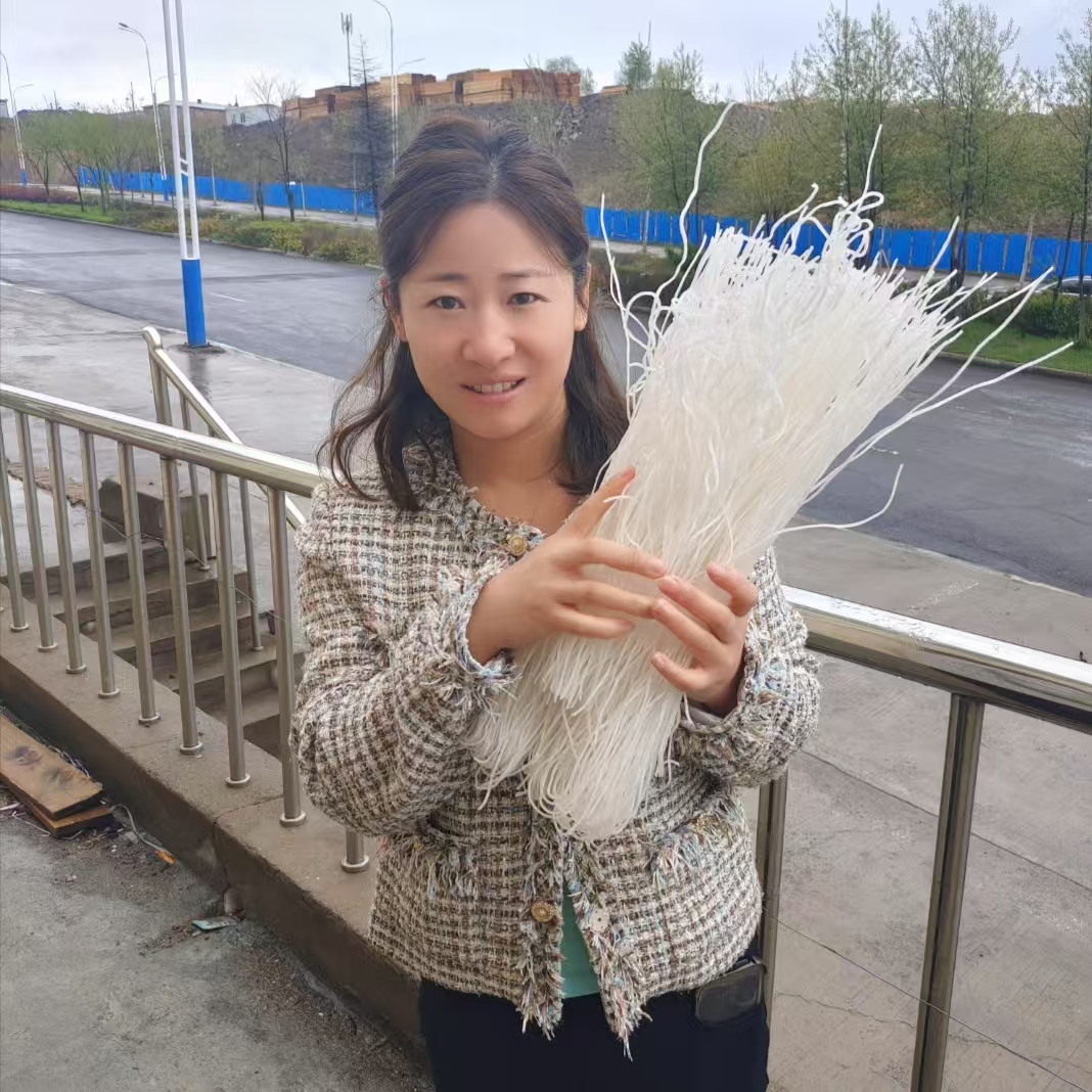 东北马铃薯粉条500克