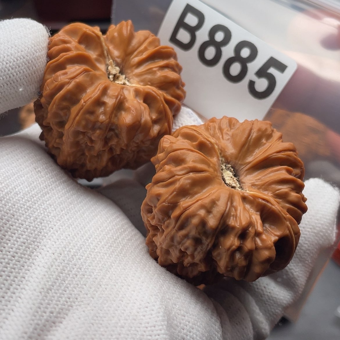 【闪购商品】文玩核桃吊坠B885平谷凹底42