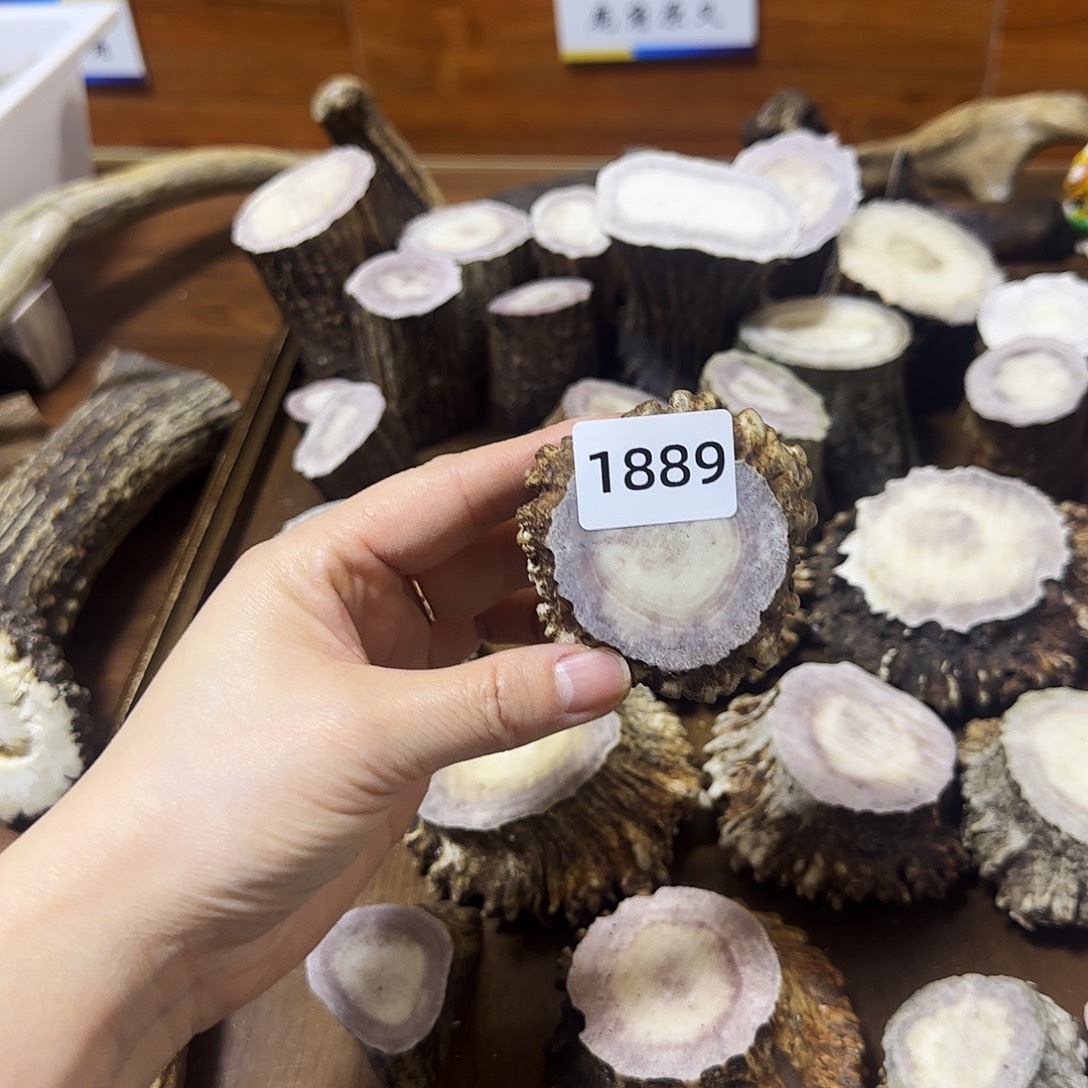 手串/手链鹿骨1889角帽