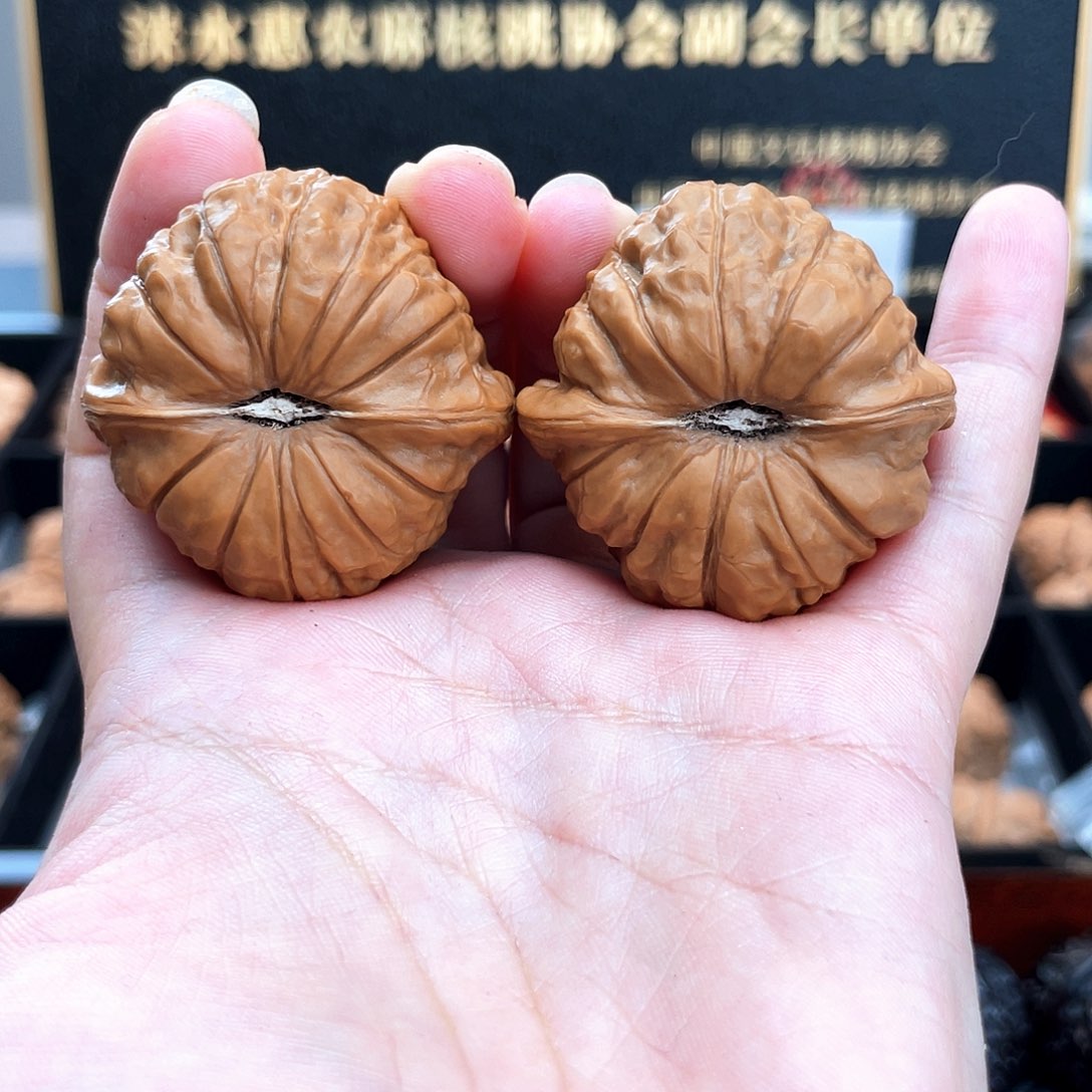 把件文玩核桃脆**c42毕业级正圆凹底➕蝴蝶磨肩膀4231