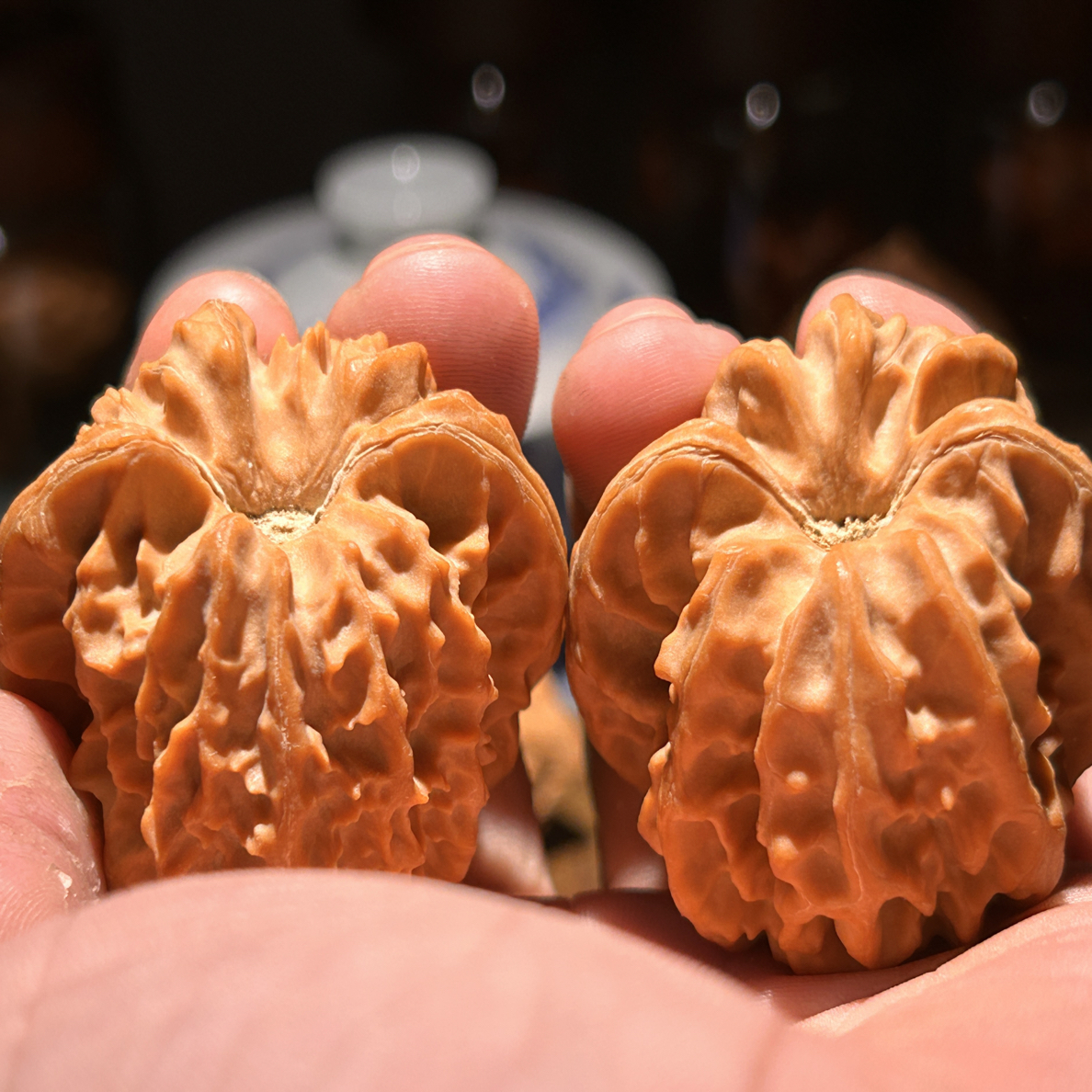山一代曹大龙狮子头，新果定制头货，大凹底，边45肚42.5高45