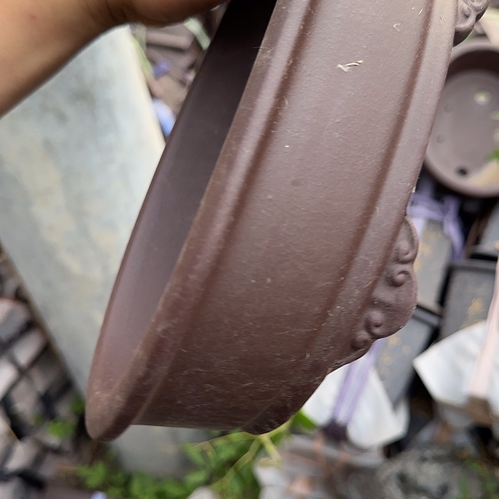 一哈来我这儿吃饭啊亲爱的