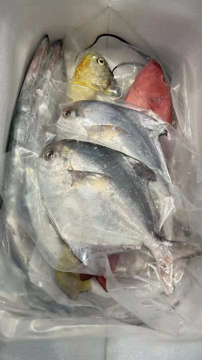 舟山海鲜现称现发②号链接