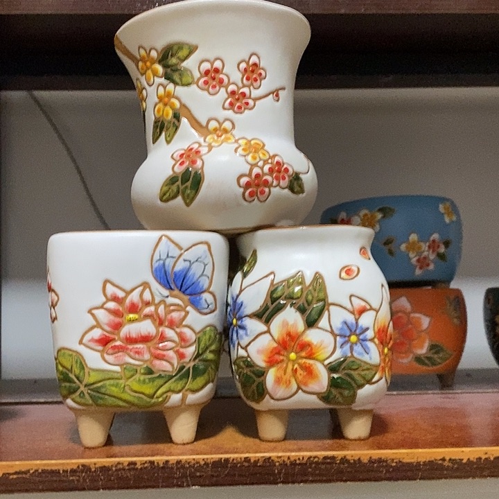 韩式多肉植物花盆