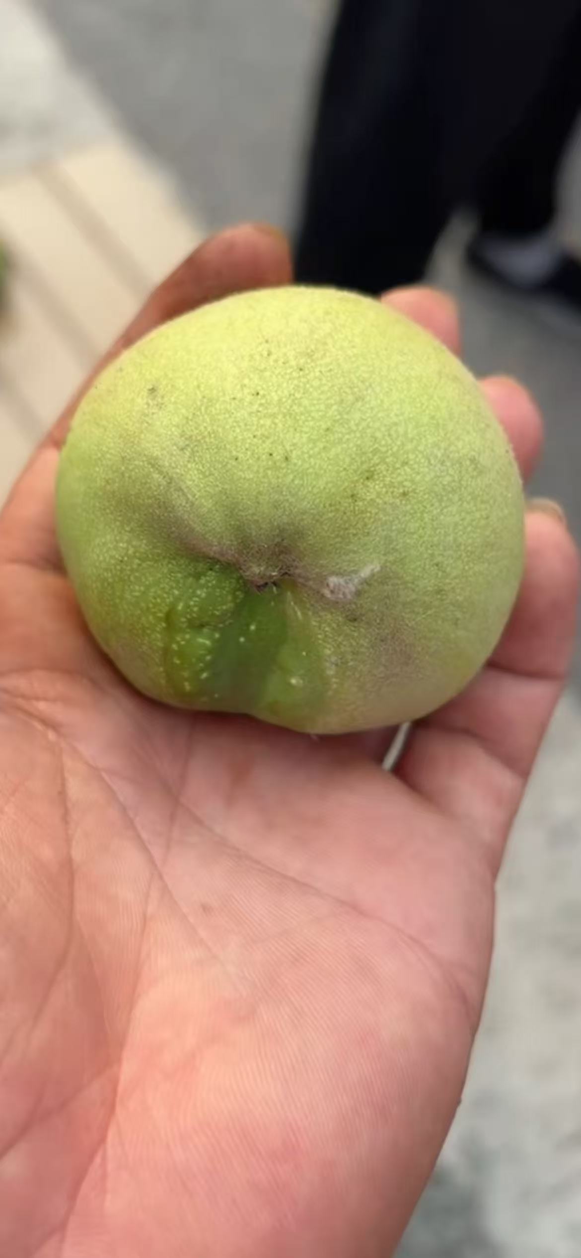 青皮代开DIY冲洗