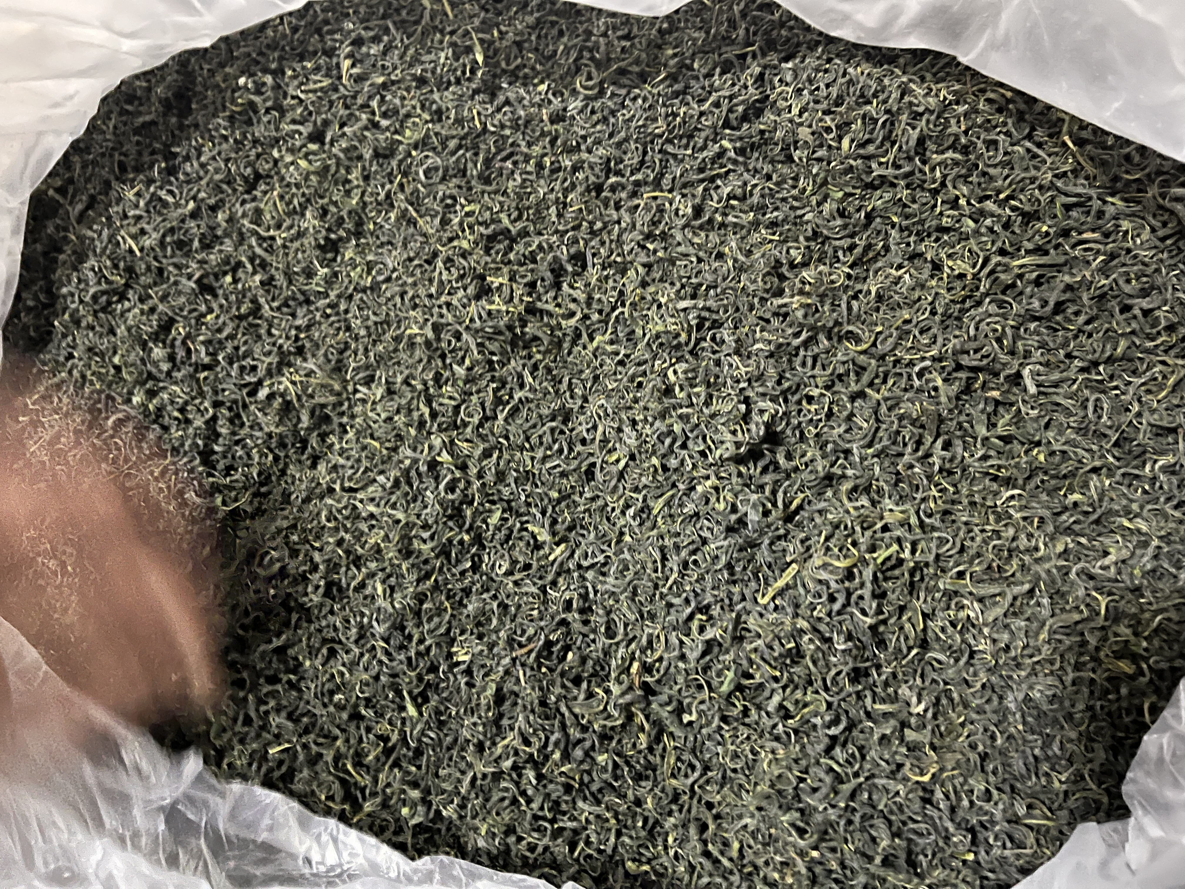 高山香茶直条浓香型耐泡型绿茶