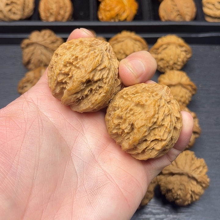 核桃秦岭山脉中段怒江与澜沧江