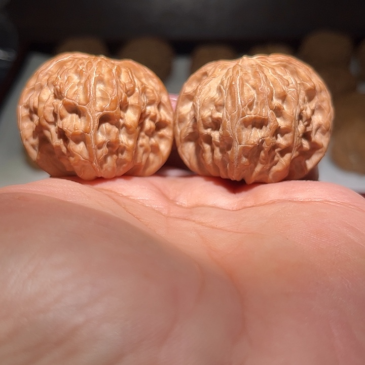 七***安木43磨盘。         