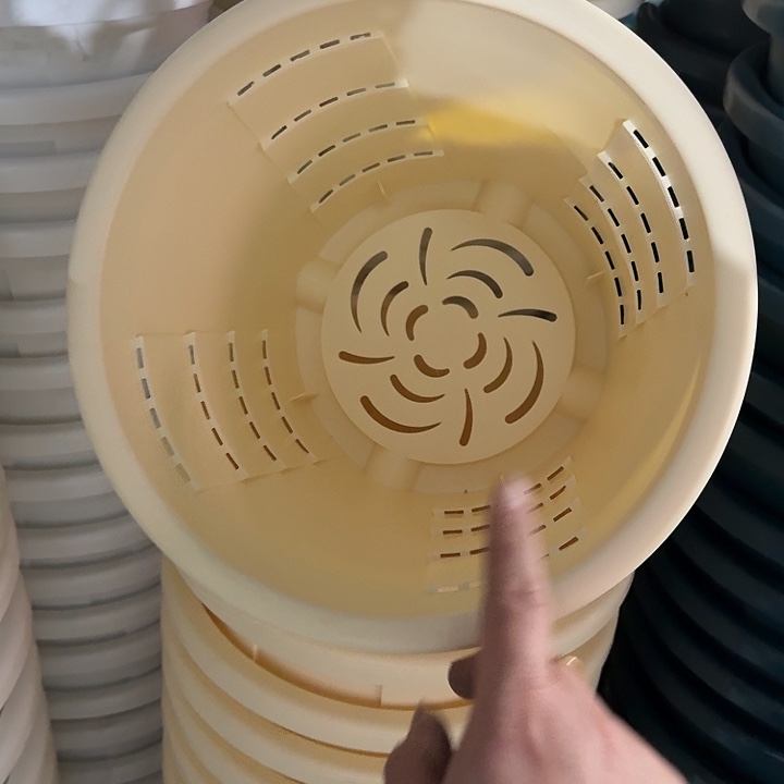 测26口径6个无托米黄微瑕