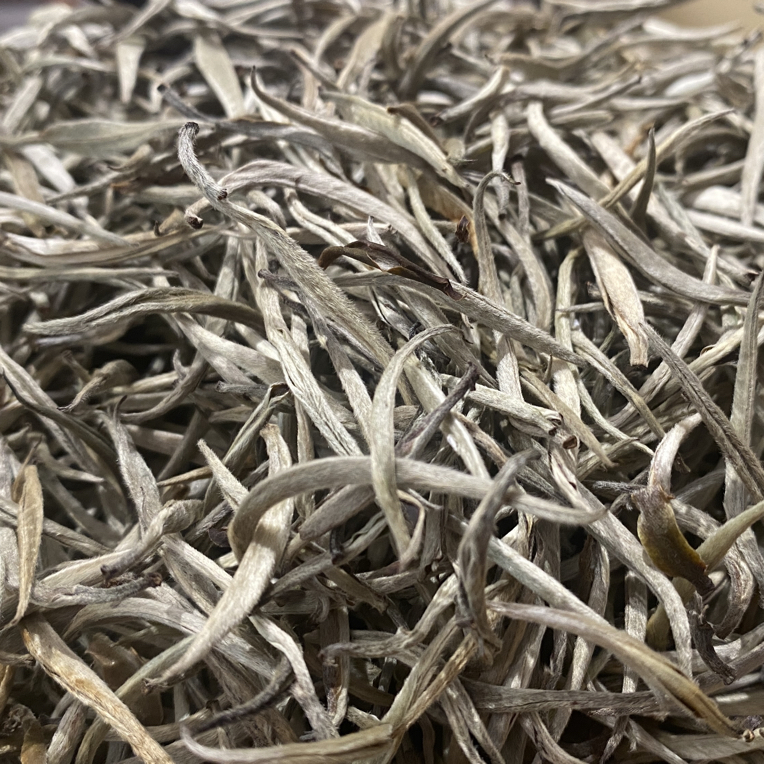 2025年云南春茶散茶芽尖芽头白茶花香蜜香
