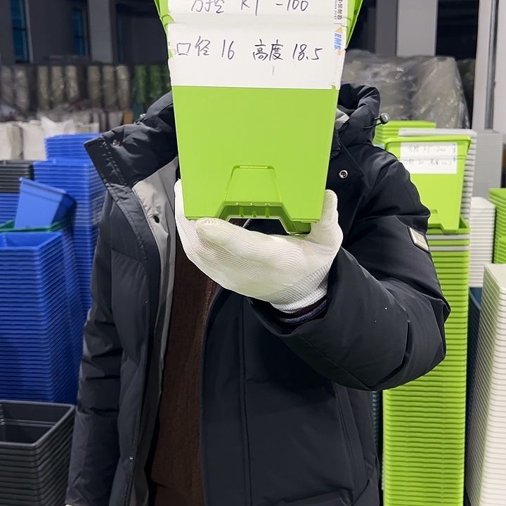 正品方盆口16高18果绿5只无托