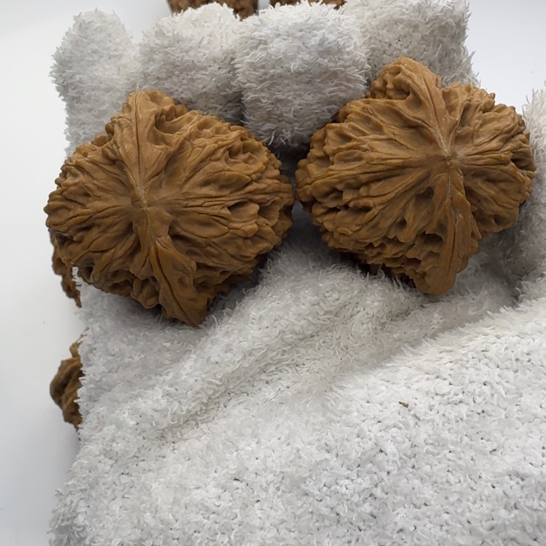 43尺寸南疆石核桃