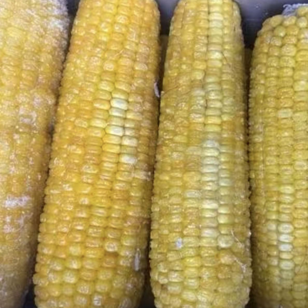 农家自种 玉米 4斤 （冷冻发货）