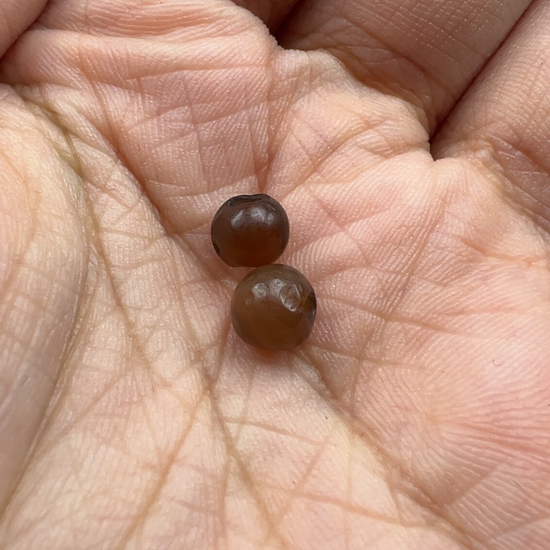 界***主泥塑f30...............