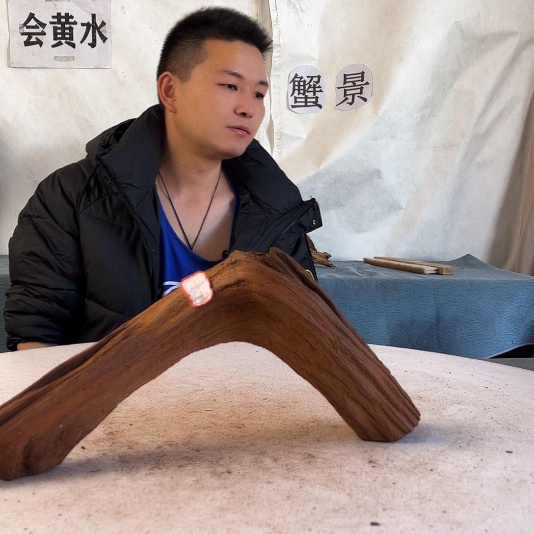 @***…鱼缸寄居蟹沉木造景