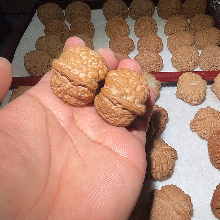 J***R木40南瓜敦。      