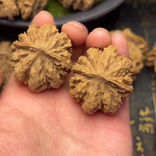 文玩核桃把件秦岭核桃3