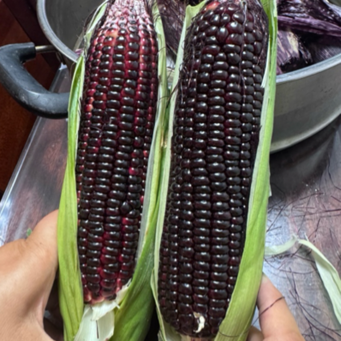 新鲜现摘富硒甜糯黑玉米富含花青素可做早餐粗粮