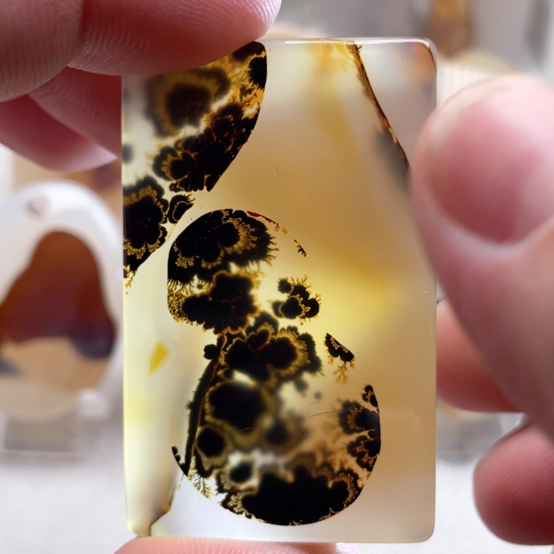 【闪购商品】玛瑙/玉髓颈饰合金