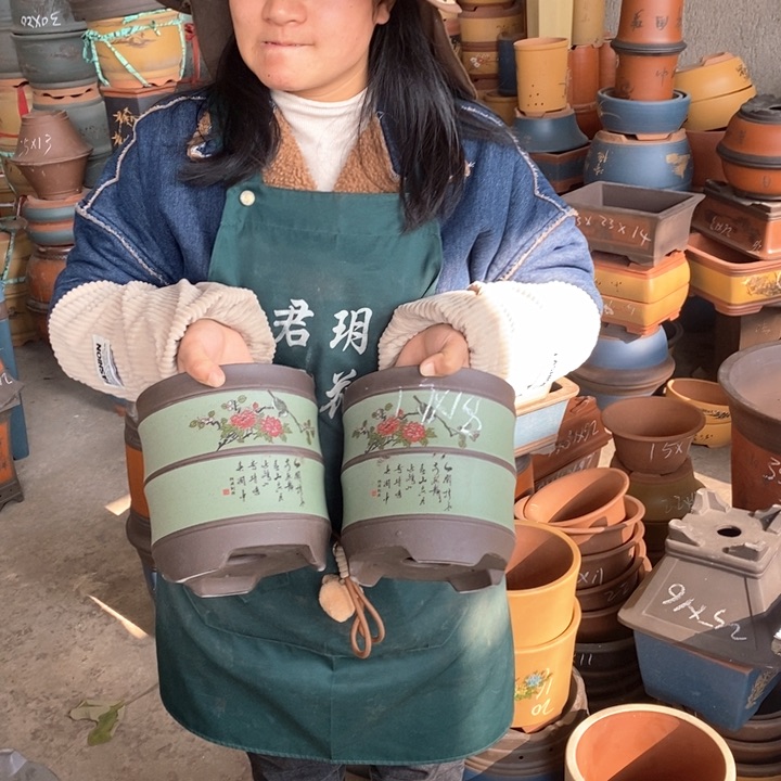 紫砂花盆盆栽花卉苗木种植