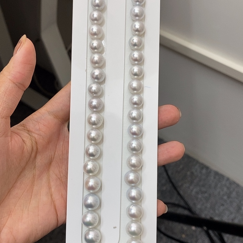 【闪购商品】颈饰未镶嵌海水珍珠淘***贝